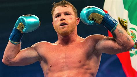 canelo last fight.